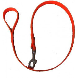 Laisse 1.2m Biothane plate