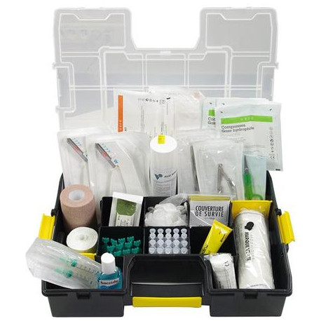 Trousse premiers secours pour chiens