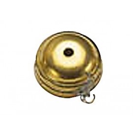 Grive à bouche plat