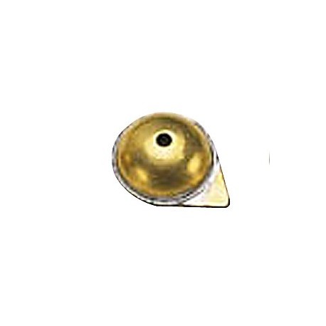 Grive à bouche triangle