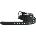 Collier sup pour Beagle Master