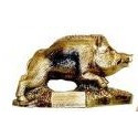 Trophé de chasse Sanglier