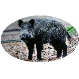 Adhesif solitair couleur