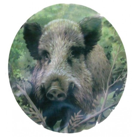 Adhésif Tête Sanglier