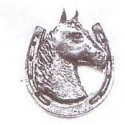 Cheval 4
