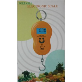 Peson Electronique 25kg