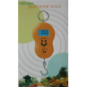 Peson Electronique 40kg